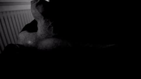 yeasayer online show from October 13, 11:29 pm