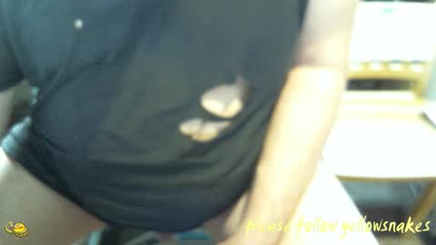 .     y e l l o w s n a k e s       . online show from February 8, 9:40 pm