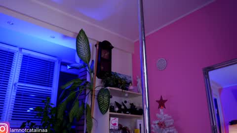 YourBabyPearl online show from January 7, 5:09 pm