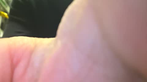 yourslave996 online show from February 17, 8:24 am