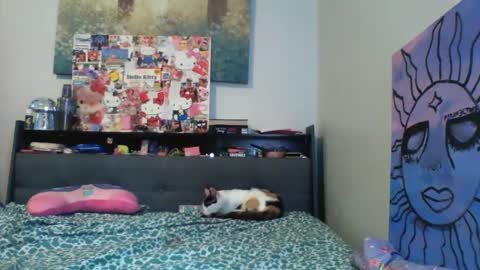 Snapshot of zaddyslilslutbucket chatting on September 13, 10:23 pm zaddyslilslutbucket online show from September 13, 10:23 pm