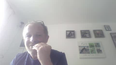 Zippi online show from July 17, 1:35 pm