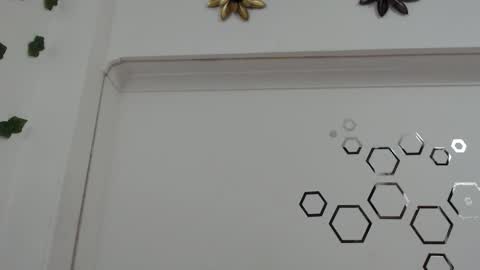 Carolina online show from January 12, 8:27 pm